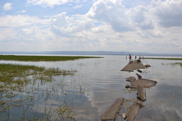 Hippo Island in het meer van Hawassa