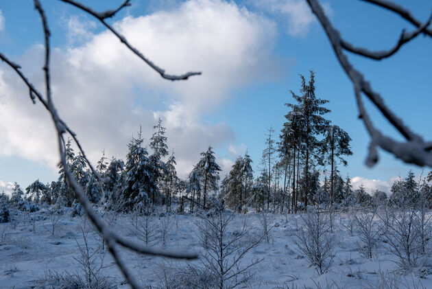 Alles is zoveel mooier met een vers laagje sneeuw