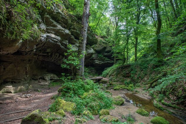 Prachtige natuur om eindeloze wandelingen te maken