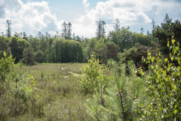 En leren wat meer over de ijstijden die Drenthe gevormd hebben