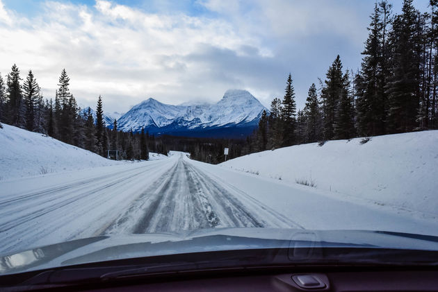 Het uitzicht tijdens het rijden van de Icefields Parkway verveelt geen seconde