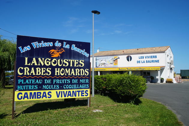 Ile d`Oleron betekent ook oesters en mosselen en die vind je overal