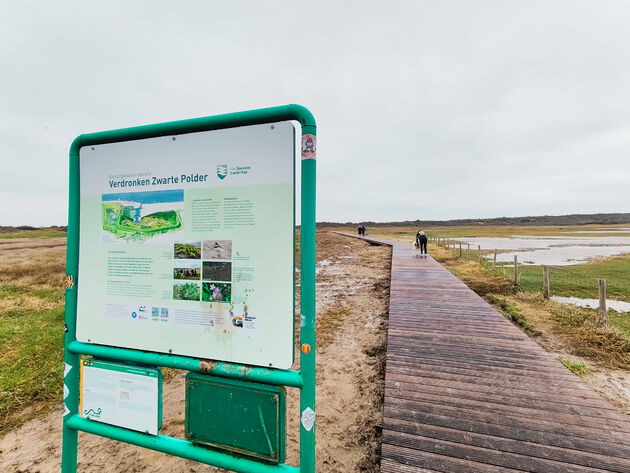 Wandel door de Verdronken Zwarte Polder naar het brede zandstrand van Nieuwvliet-Bad