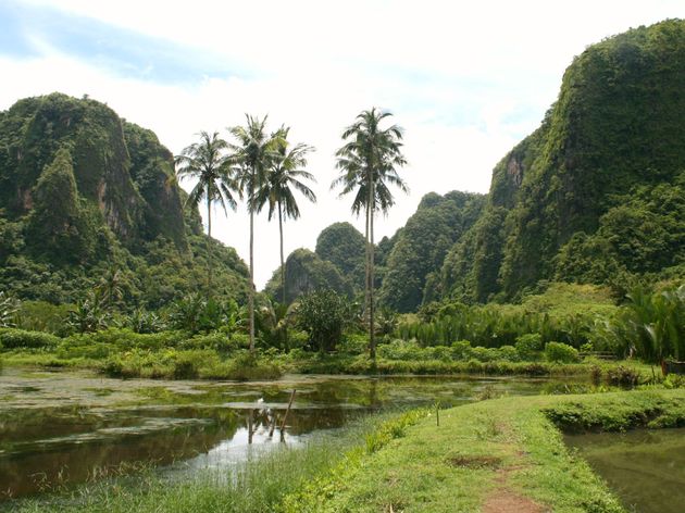 Schitterende karstbergen op Sulawesi