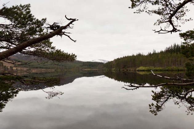 De prachtige omgeving van Inverness