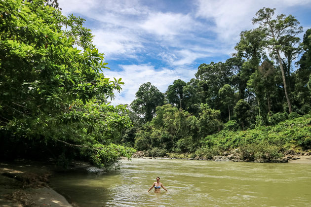 Zwemmen in de jungle van Danum Valley!