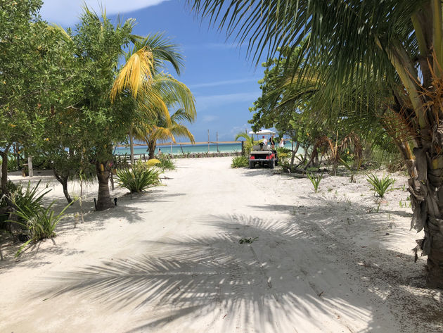 Blauwe lucht, palmbomen en witte stranden. Op Holbox hoef je alleen maar te chillen.