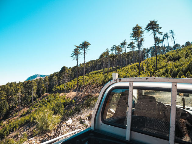 Met een 4x4 kun je ook de onverharde wegen van het natuurgebied verkennen