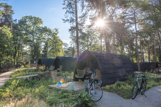 Overnachten op een bijzondere plek midden in de Oisterwijkse bossen