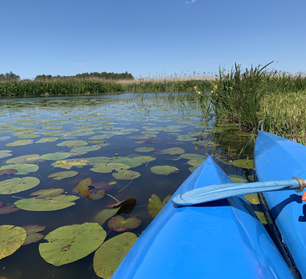 <em>Huur een kano en geniet van de prachtige natuur op en rondom de Nieuwkoopse Plassen<\/em>