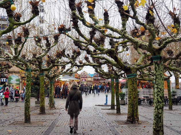 Breng een bezoek aan de verschillende kerstmarkten in de stad.