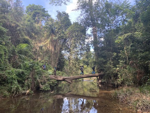 <em>Wandelen door de jungle van Khao Yai is behoorlijk avontuurlijk<\/em>