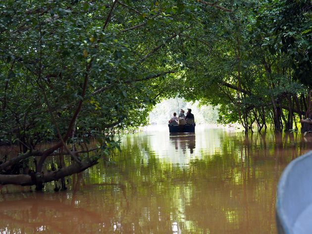 Vaar over de Kinabatangan rivier, op zoek naar wilde dieren