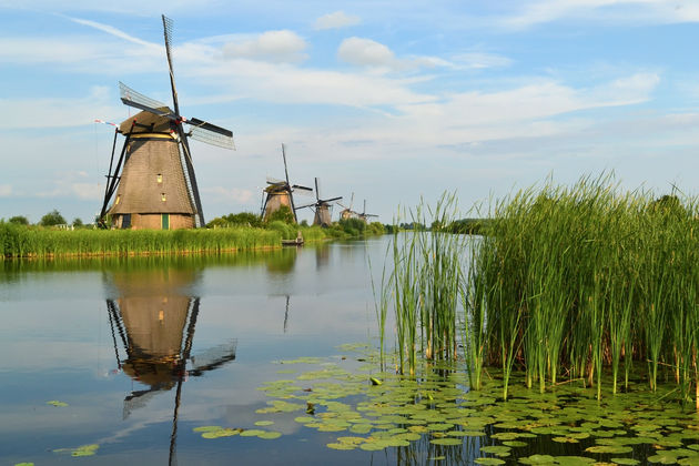 Molens in Kinderdijk