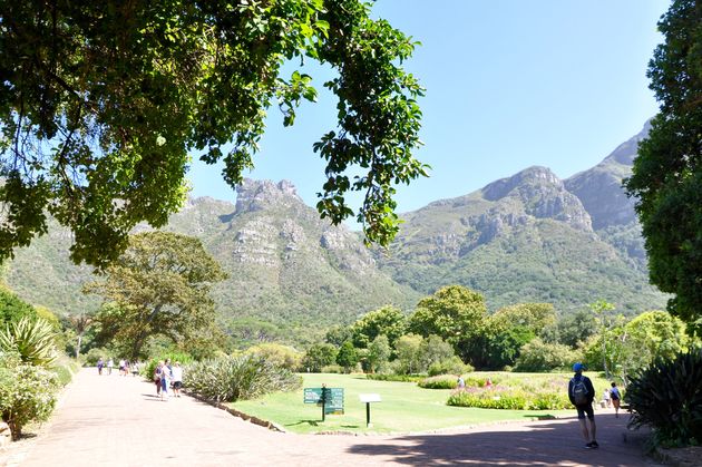 Wandelen door de botanische tuinen van Kirstenbosch