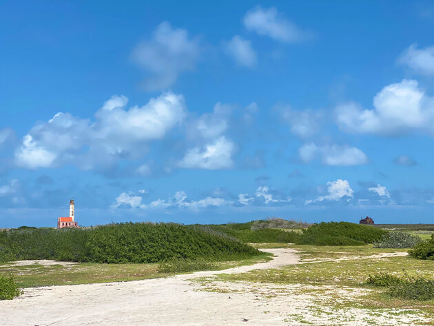 Het oude scheepswrak en de vuurtoren