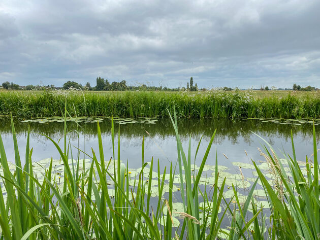 De Krimpenerwaard is in de zomermaanden een groene oase