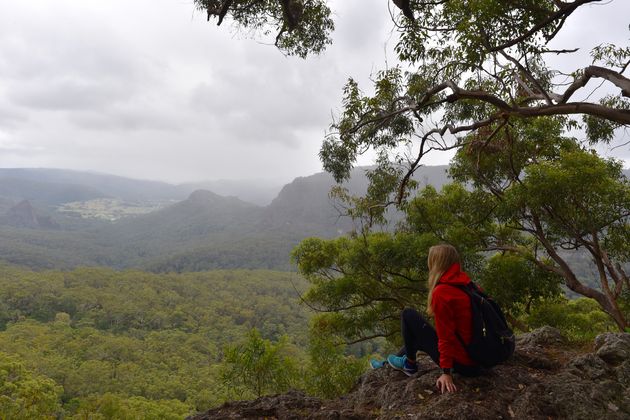 Uitkijken over het groener dan groene Lamington National Park