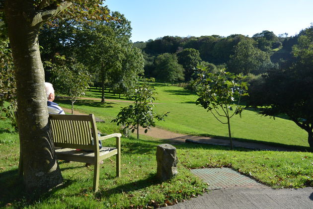 Landgoed bij Cider Farm