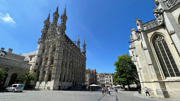 Het stadhuis van Leuven (groothoek) daar kun je niet omheen..