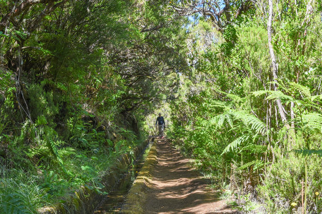 Voor wandelaars is het bloemeneiland een paradijs