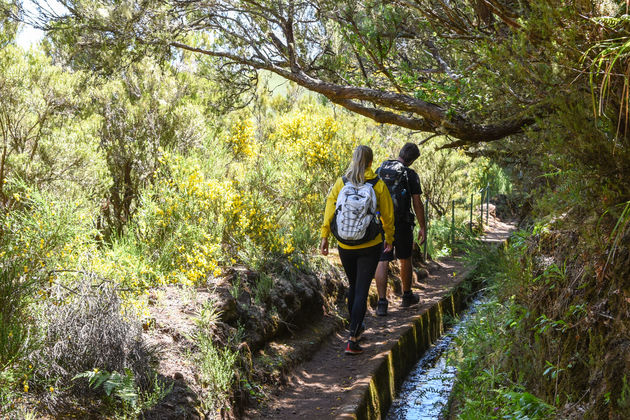 Levada do Alcerim, een ontspannen wandeling