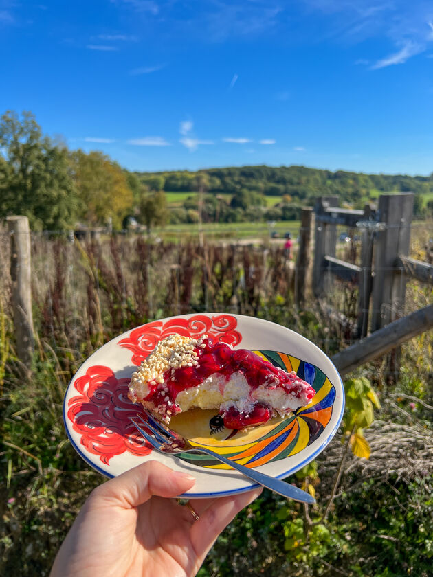 Geen reisje naar Limburg zonder vlaai