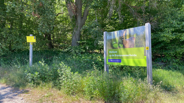 De Brunsummerheide is een prachtig gebied om te wandelen