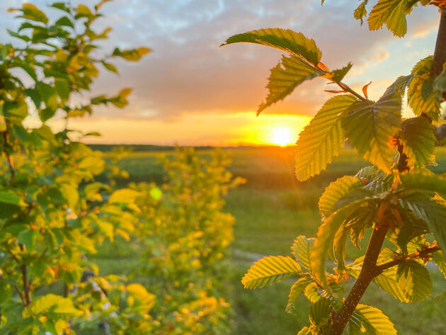 En het genieten is van een prachtige zonsondergang