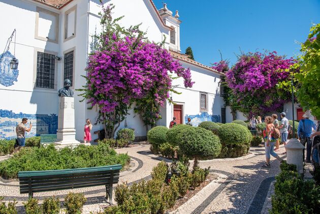 In de zomermaanden is dit een beeldschone plek met de bougainvillea in volle bloei