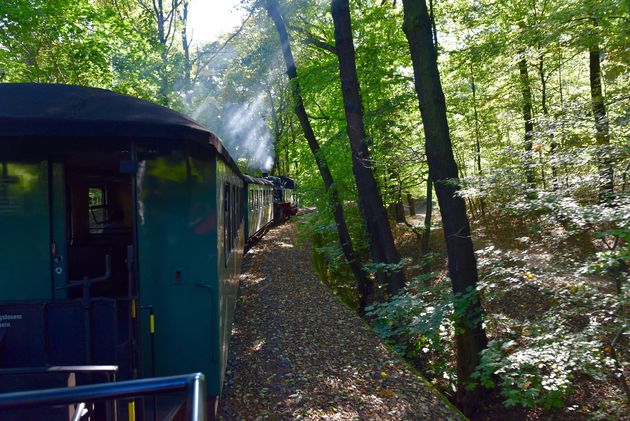 De Lo\u0308\u00dfnitzgrundbahn neemt je mee door prachtige groene bossen