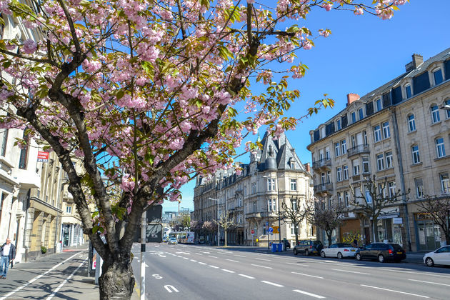 Zomaar een foto van het straatbeeld van de stad