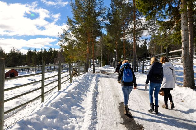 Een wandeling door Lycksele Zoo