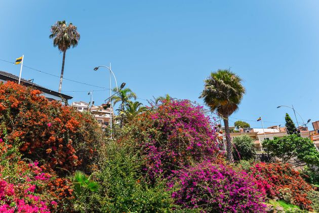 De bijnaam bloemeneiland is meer dan verdiend