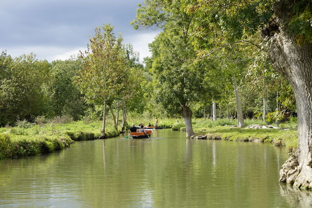 Prachtige natuur in het bijzondere moerasgebied