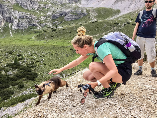 Tijdens het hiken komen we deze kat tegen: Mountain Milow! Wat een geluksmomentje \u2665