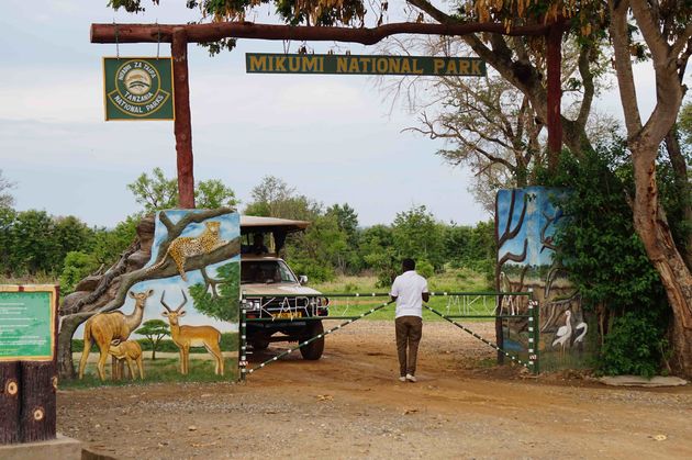 Op safari in Mikumi National Park!