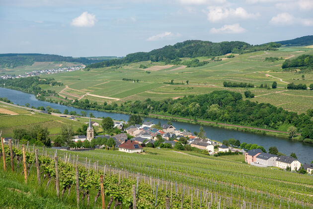 Zeker doen in de Luxemburgse Moezel: Cr\u00e9mant proeven