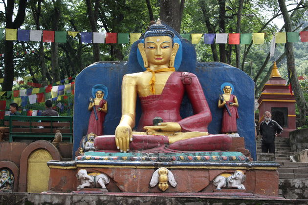 Apen in Swayambunath oftewel de Monkey Temple