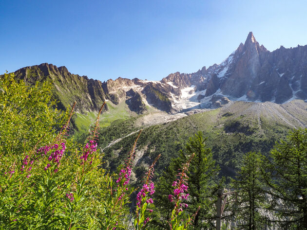 Oog in oog met de hoogste berg van de Alpen: de Mont Blanc