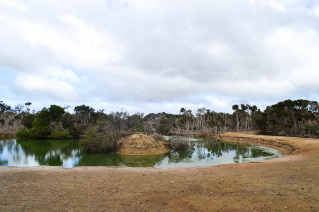 De natuur op Phillip Island is prachtig...