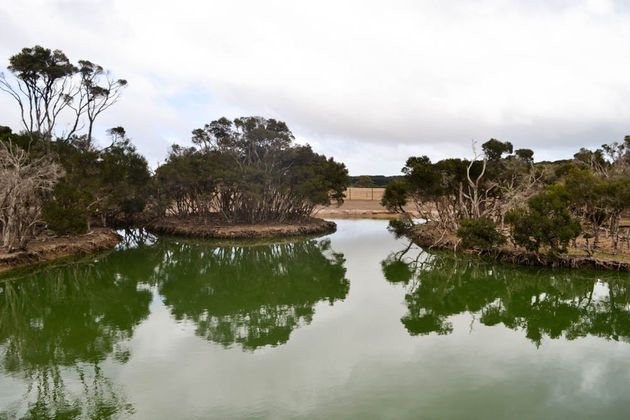 natuur_phillip_island