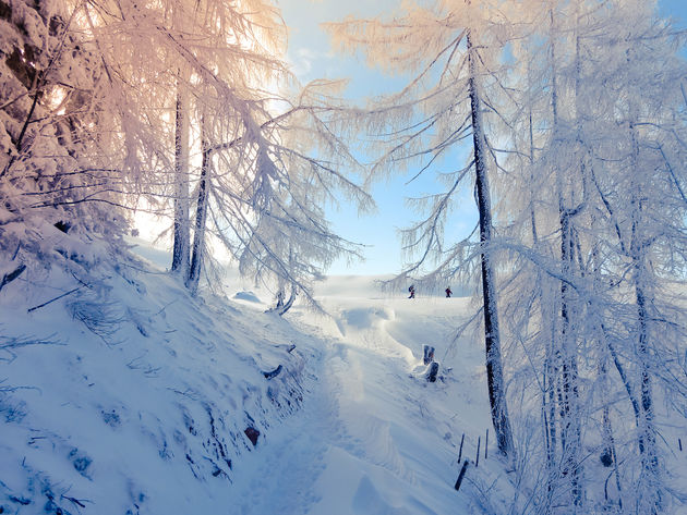 De zon komt door: dit unieke plaatje ervaar je alleen tijdens het sneeuwschoenwandelen