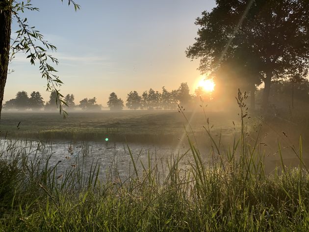 <em>In de prachtige Friese natuurgebieden kun je wildlife spotten.<\/em>