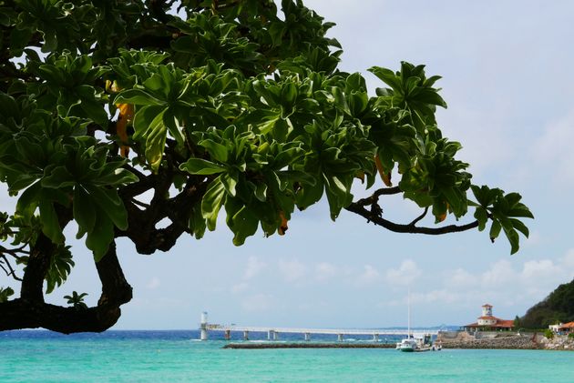 Okinawa: het Hawa\u00ef van Japan