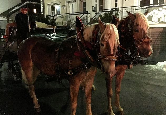 Een romantisch tochtje met paard en wagen!