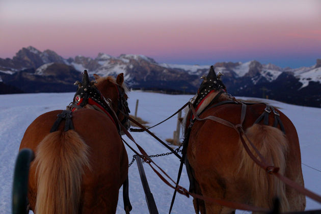 Het geluid van paardenvoetjes en een roze lucht, sprookjesachtig!