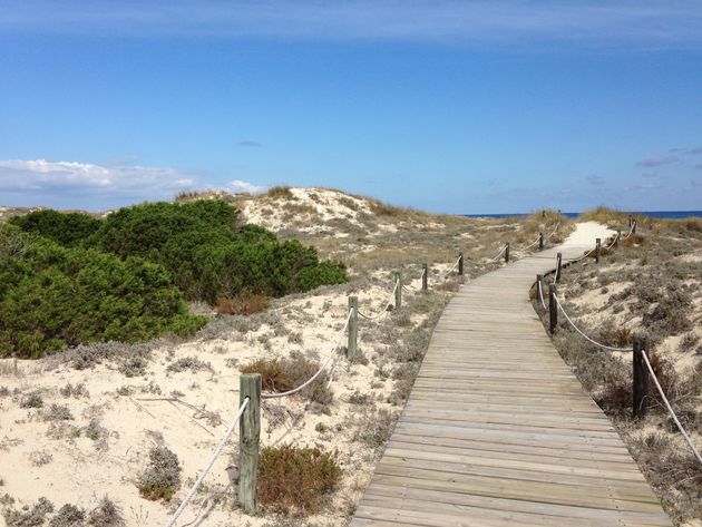 Via dit soort prachtige duinpaden loop je naar het strand