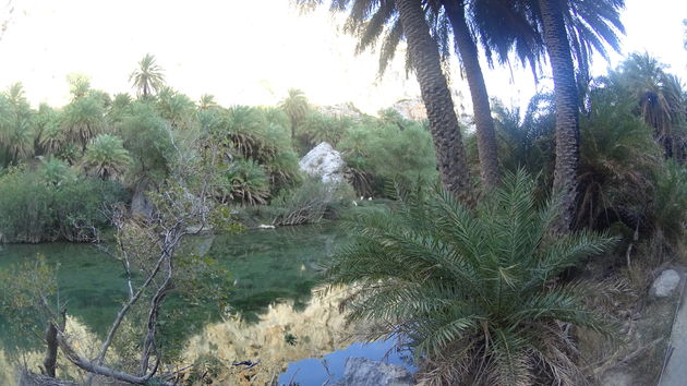 Preveli`s Palm Forest. Leuk om eens doorheen te wandelen!