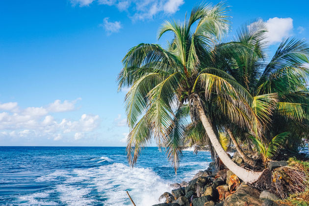 Heb jij inmiddels ook zin gekregen in een vakantie naar Guadeloupe?